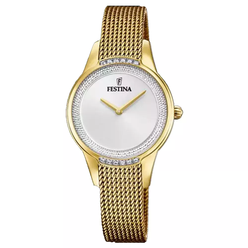 FESTINA  F20495/1